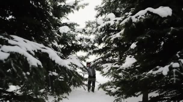 Młody Człowiek Spaceruje Śnieżnym Lesie Pomiędzy Puszystymi Zielonymi Jodłami Zimowy — Wideo stockowe