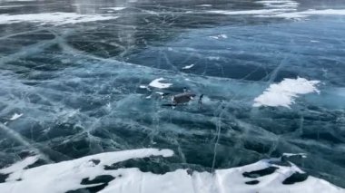 Olkhon Adası açıklarındaki donmuş Baykal Gölü 'ne insansız hava aracı fırlatıldı. Temiz ve pürüzsüz buzla güzel bir kış manzarası. Derin çatlakları olan mavi şeffaf buz. Helikopter Baykal Gölü 'nden havalanıyor..