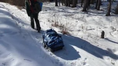 Sırt çantalı bir adam kış yürüyüşüne çıkar ve yanında bir çuval dolusu malzeme ve ekipman taşır. Güzel kış manzarası. Olkhon Adası. Ormanda karla kaplı patika.