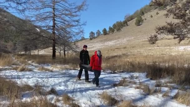 Dois Jovens Carregam Árvores Derrubadas Pedaços Para Coletar Lenha Paisagem — Vídeo de Stock