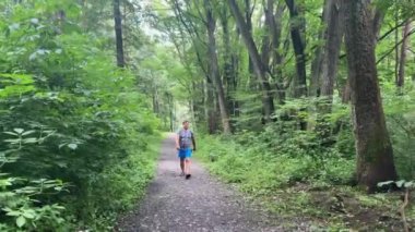 Genç bir adam orman yolunda yürüyor. Güzel yeşil bir parkta yürü. Yaz manzarası.