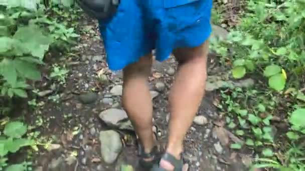 Чоловік Йде Лісовою Стежкою Вид Ззаду Ноги Прогулянка Красивому Зеленому — стокове відео
