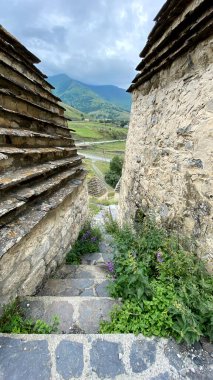 Alanların antik mezarlığı. Dargavs Köyü - Ölüler Şehri, Kuzey Osetya, Rusya. Ölüler şehrinin taş basamakları, çimen ve çiçeklerle kaplı.. 