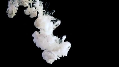 Sıvı beyaz mürekkep yavaş hareket ediyor. Siyah arka planda beyaz mürekkep bulutu. Kozmik büyü soyut arka plan. Suya beyaz mürekkep damlaları.