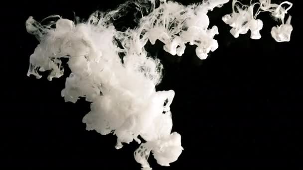 水に白いインクの滴 液体インクの遅い動き 黒の背景に墨の白い雲 宇宙魔法抽象的背景 — ストック動画