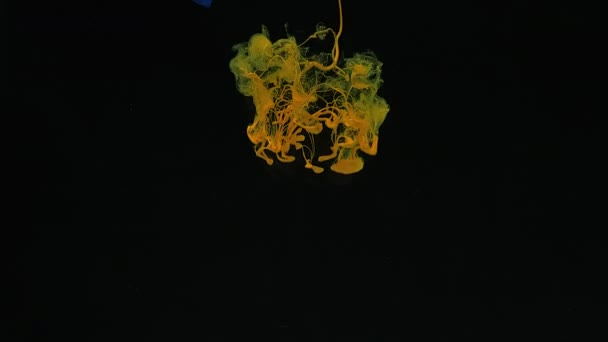 抽象的な背景 黒を背景に水に注ぐ黄色と青の水彩インク 宇宙魔法の背景 液体青と黄色の塗料の遅い動き — ストック動画