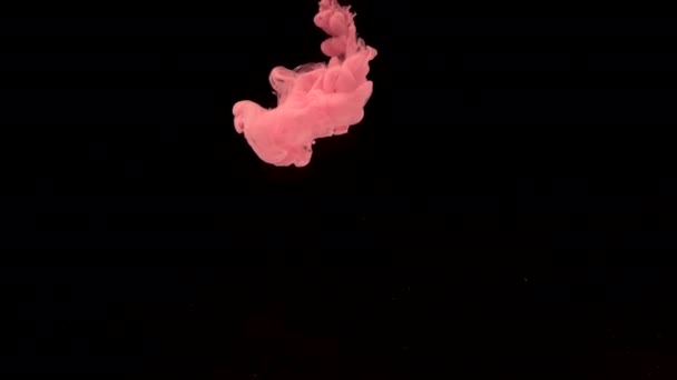 Светло Розовые Акварельные Чернила Воде Черном Фоне Потрясающий Абстрактный Фон — стоковое видео