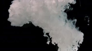 Beyaz soyut arka plan. Siyah arka planda beyaz suluboya mürekkep. Süt renklerinin yavaş çekim videosu.