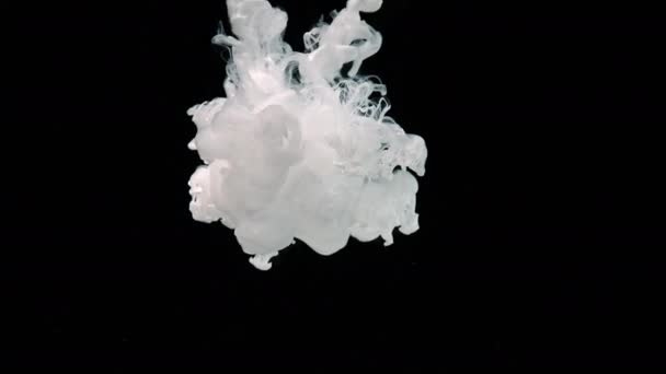 Lassú Mozgású Videó Tejszínfoltokról Gyönyörű Fehér Elvont Háttér Fehér Akvarell — Stock videók