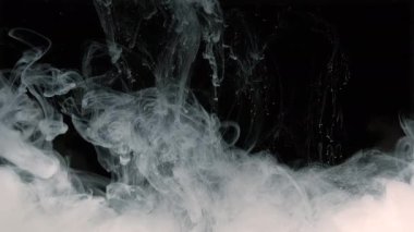 Siyah arka planda beyaz suluboya mürekkep. Fantastik beyaz soyut arka plan. Sudaki beyaz süt mürekkebinin yavaş hareketi.