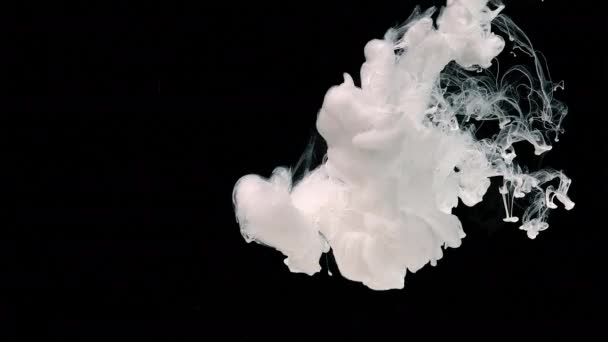 Slow Motion Liquid White Ink Drops White Ink Water White — Stock Video