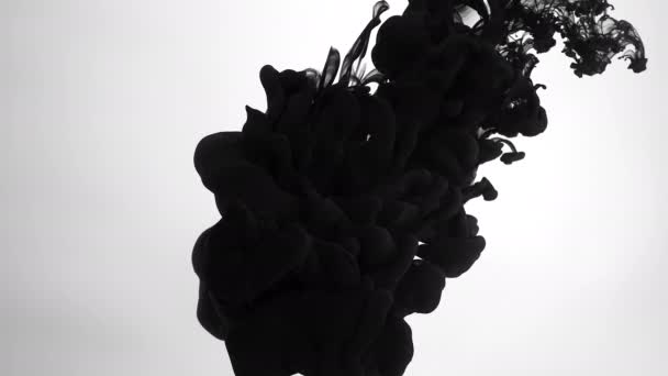黑色墨水滴在水中缓慢运动 令人敬畏的抽象的背景 白色背景的黑色水彩墨水 — 图库视频影像