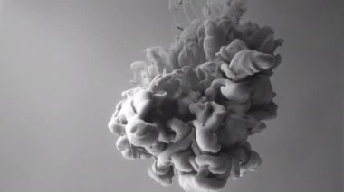 Gri mürekkep bulutu. Yavaş hareket eden gri suluboya açık gri arka planda suda boya yapar. Soyut uzay yıldızı arkaplanı. Çevre kirliliği kavramı.