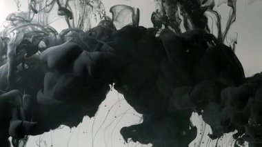 Soyut arkaplan. Yavaş hareket eden sıvı siyah mürekkep. Suya siyah mürekkep damlaları. Çevre kirliliği kavramı. Beyaz arka planda siyah mürekkep bulutu. Ekran koruyucu, rahatlatıcı meditasyon arkaplanı.