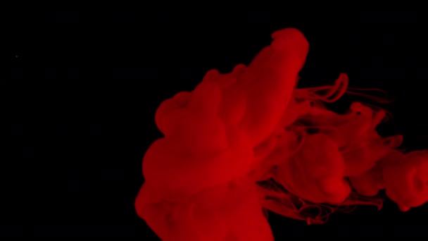 Μελάνι Κόκκινης Υδατογραφίας Αίματος Νερό Μαύρο Φόντο Αργή Κίνηση Έγχρωμων — Αρχείο Βίντεο