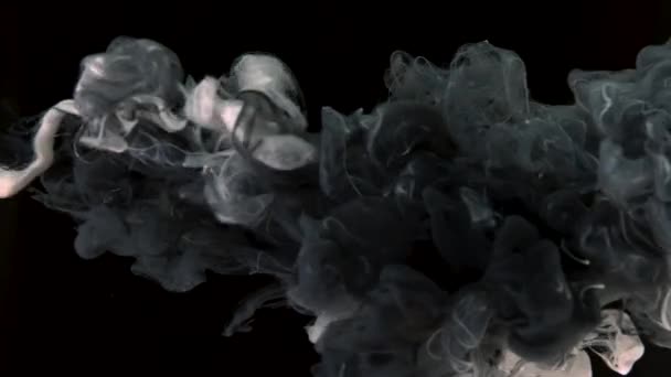 Biały Szary Tusz Akwarelowy Wymieszany Wodzie Czarnym Tle Kreatywne Abstrakcyjne — Wideo stockowe