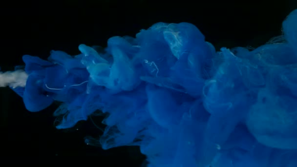 Weiße Und Blaue Aquarellfarbe Gemischt Wasser Auf Schwarzem Hintergrund Kreativer — Stockvideo