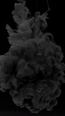 Siyah arka planda suya gri suluboya mürekkep karışımı. Hipnotik soyut arka plan. Suyun içindeki renkli suluboya yavaş hareket ediyor. Ekran koruyucu, alan arkaplanı rahatlatılıyor.