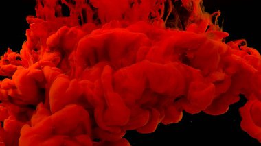 Dalgalar ve damlalar dolusu kırmızı boya. Kozmik büyü geçmişi. Kan kırmızısı mürekkep bulutu. Güzel soyut bir arka plan. Siyah zemin üzerinde kırmızı suluboya mürekkep.