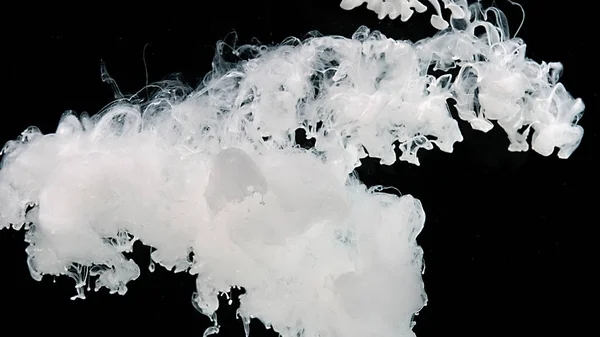黑色背景上的白色墨水云 白色水彩画在水中 白色水彩油墨在黑色底色的水中 药物魔法的抽象背景 — 图库照片