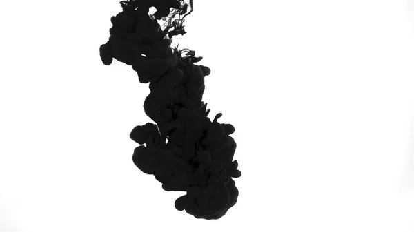 Fekete Tintafelhő Fehér Háttérrel Gyönyörű Absztrakt Háttér Fekete Akvarell Festékek — Stock Fotó