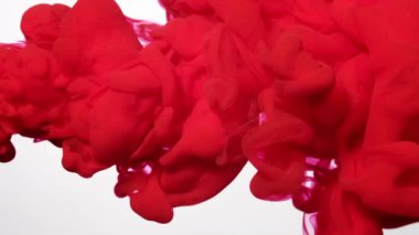 Beyaz arka planda kırmızı suluboya mürekkep. Güzel soyut bir arka plan. Ekran koruyucu, rahatlatıcı meditasyon arka planı. Suyun içindeki renkli suluboyaların yavaş hareketi.