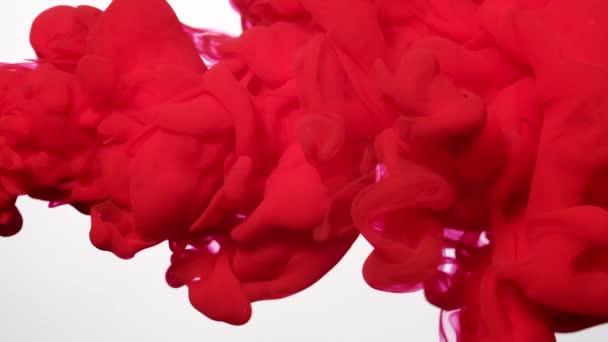 红色水彩油墨在白色底色的水中 美丽的抽象背景 放松冥想的背景 彩色水彩画在水中的缓慢运动 — 图库视频影像