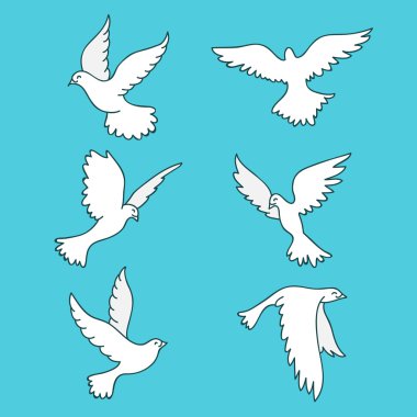 Diğer güvercin. Vektör simgeler