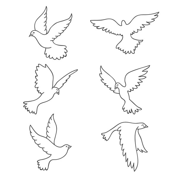 Інші голуби. Піктограми векторів — стоковий вектор
