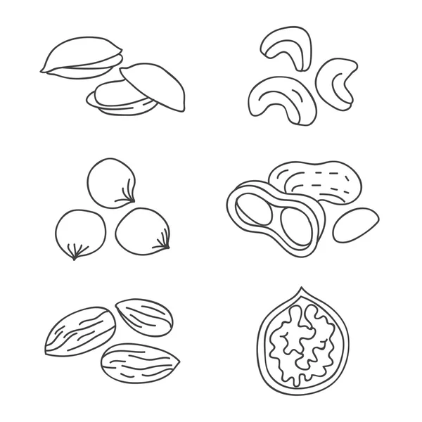 Ořechy. Vektorové ikony — Stockový vektor