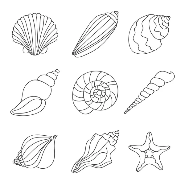 Seashells. Vector icons — Stock Vector