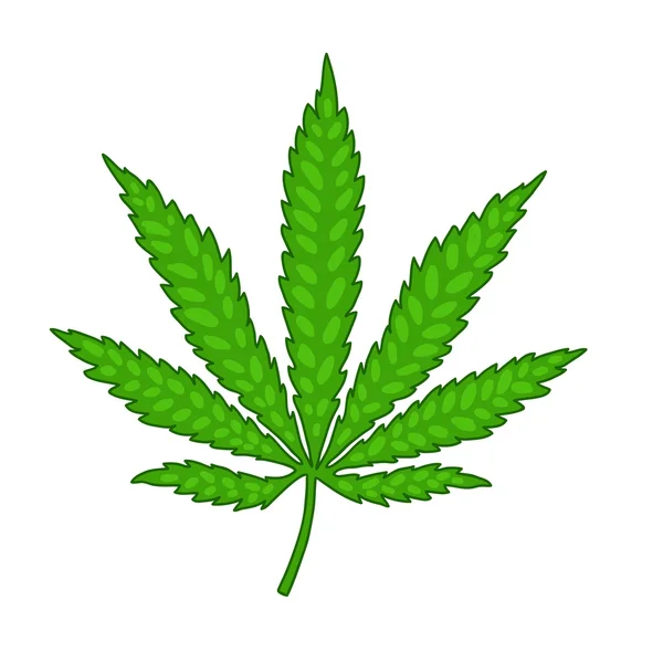 Marijuana leaf on a white background — Stock Vector