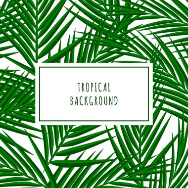 Tropikal palmiye ağacı desen. Soyut doğa arka plan 
