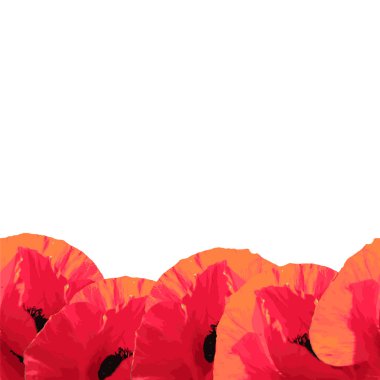 Kırmızı gelincikli kusursuz desen