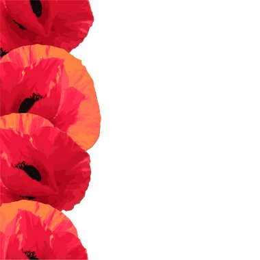 haşhaş ile çiçek arka plan