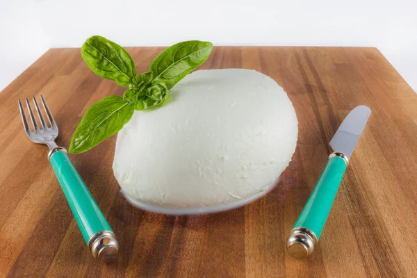 De mozzarella kaas — Stockfoto