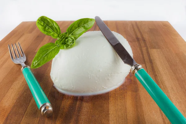 De mozzarella kaas — Stockfoto