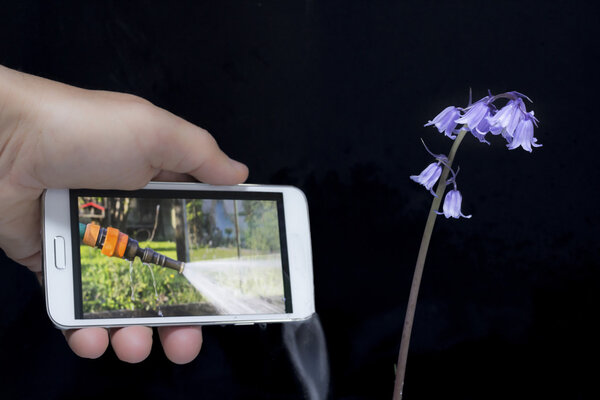 watering whith smartphone