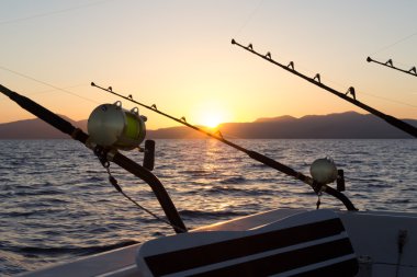 Marlin Balıkçılık