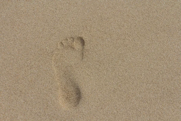 Zand en voet — Stockfoto