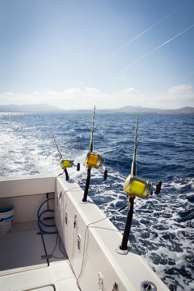 Marlin Balıkçılık