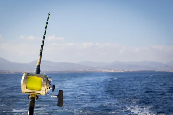 La pesca del Marlin — Foto de Stock