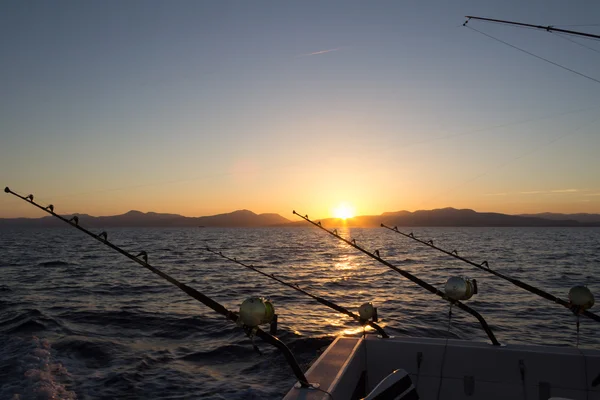 The Marlin fishing — Stock Photo, Image