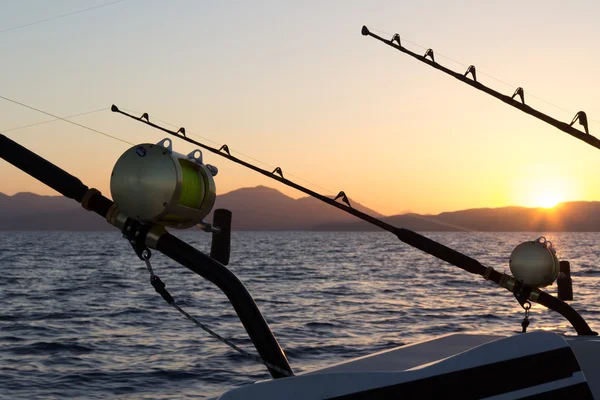 Marlin Balıkçılık