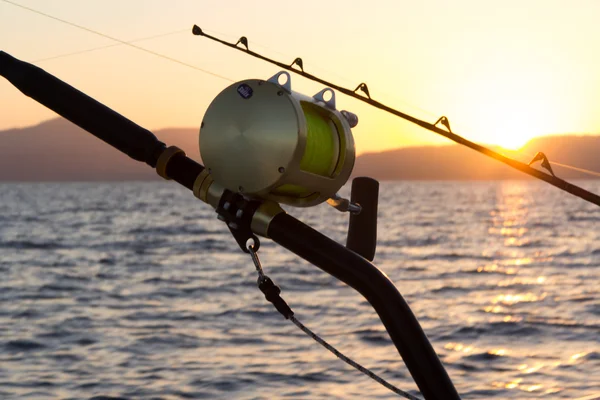 La pêche Marlin Images De Stock Libres De Droits