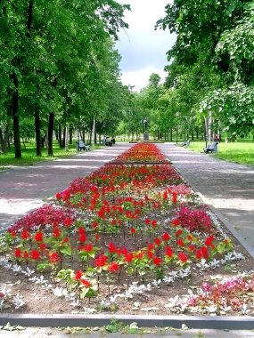 Petrozavodsk parkta