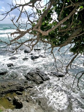 Bulgaristan deniz İskelesi