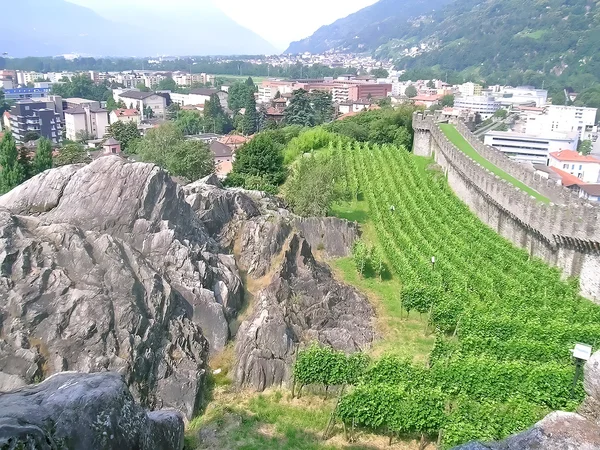 Bağ Bellinzona, İsviçre — Stok fotoğraf