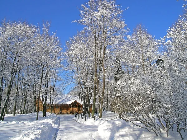 Χειμώνας στο πάρκο Kolomenskoye — Φωτογραφία Αρχείου
