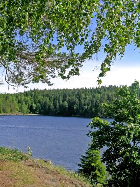 Ladoga Gölü üzerinde göster